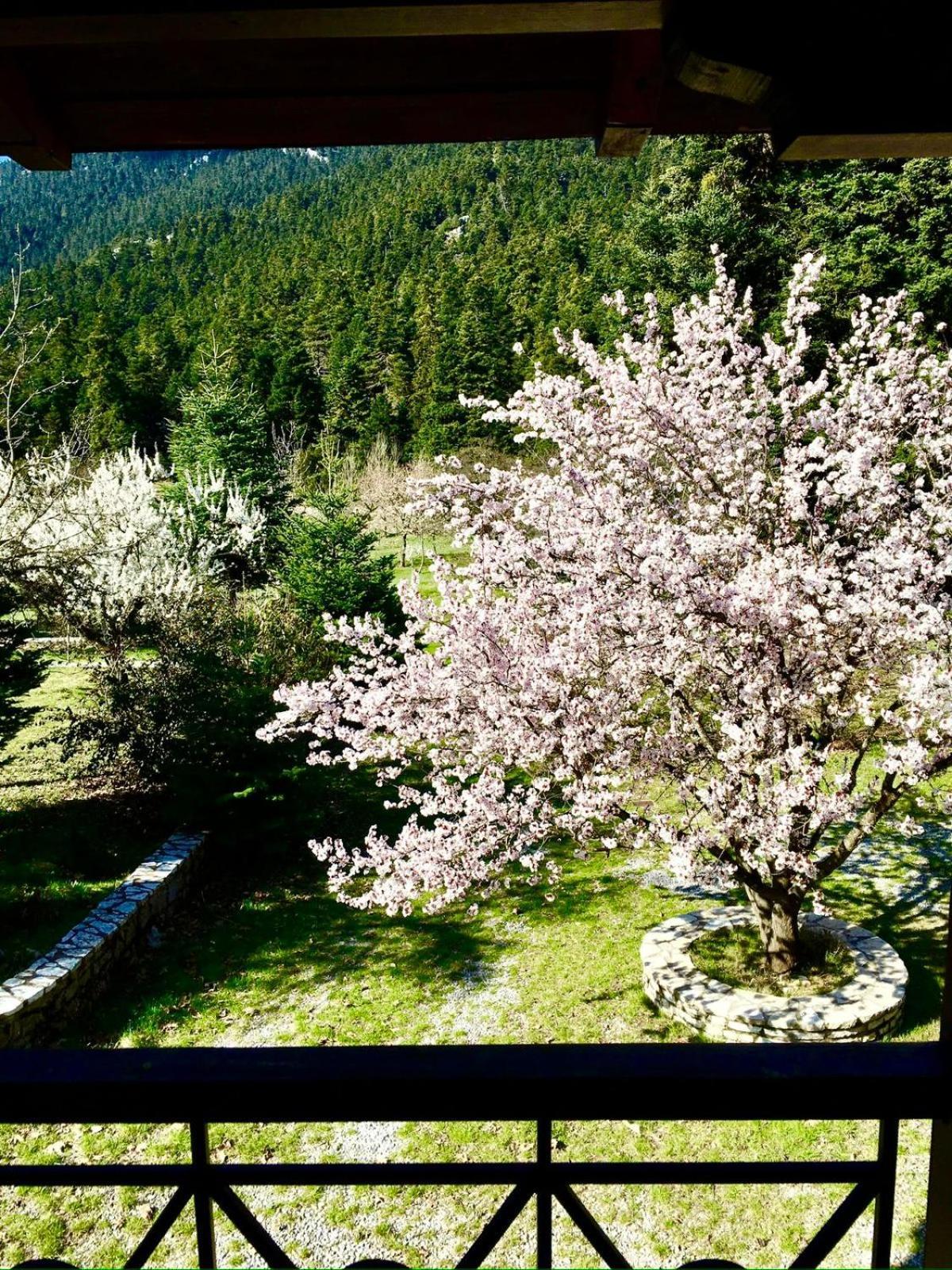Alpine Escape Maisonette By Ski Alure Arachova Ngoại thất bức ảnh
